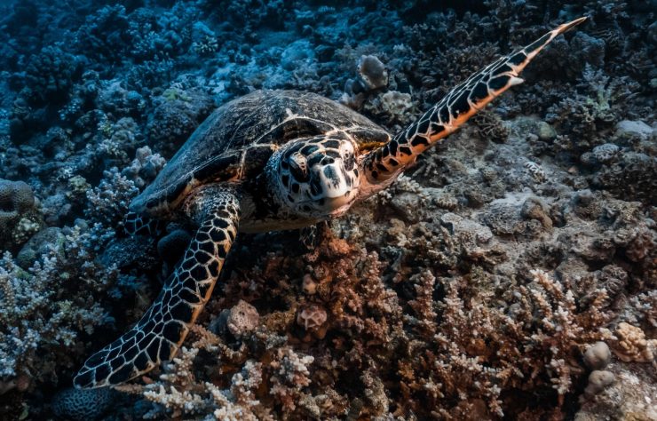 WhatsApp Image 2025-10-28 at 13.06.26_07669b2b WhatsApp Image 2025-10-28 at 13.06.26_07669b2b