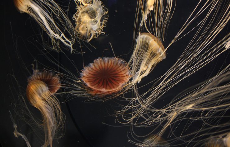 WhatsApp Image 2025-10-28 at 13.06.26_0ccd5abd WhatsApp Image 2025-10-28 at 13.06.26_0ccd5abd